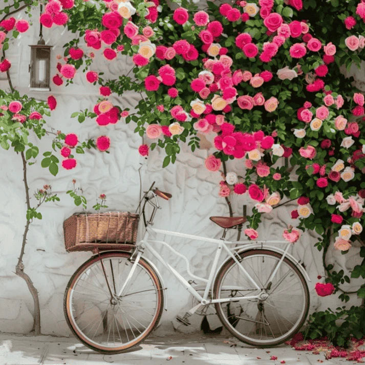 Premium Elegant Climbing🌹 Rose Seeds🌱😍